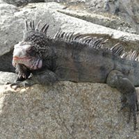 Steve Weintraub Photo 18