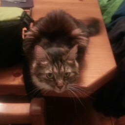 Laura Roach Photo 14