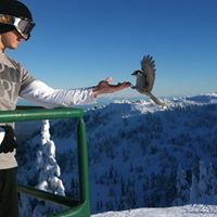 David Furlong Photo 33