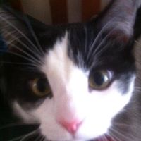 Teresa Thorson Photo 11