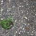 Lisa Lietz Photo 10