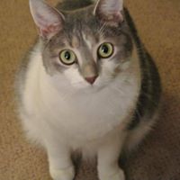 Katelyn Walsh Photo 26