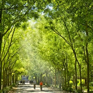 Debra Campbell Photo 19