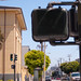 Dolores Gray Photo 6