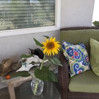 Susan Davenport Photo 15
