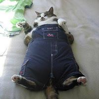 Leslie Gilmore Photo 30