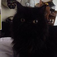 April Hathaway Photo 9