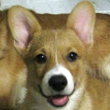 Brian Crandall Photo 31