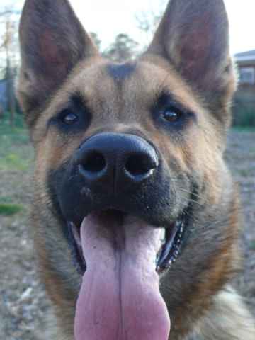 Barbara Earnhardt Photo 6