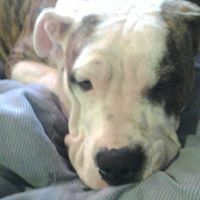 Charlie Crain Photo 8