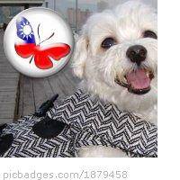 Vivien Chang Photo 32