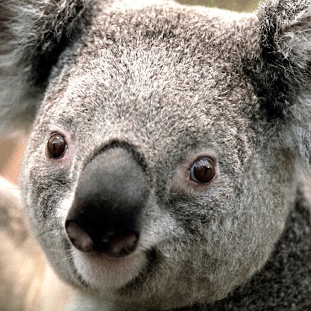 Matthew Parish Photo 13