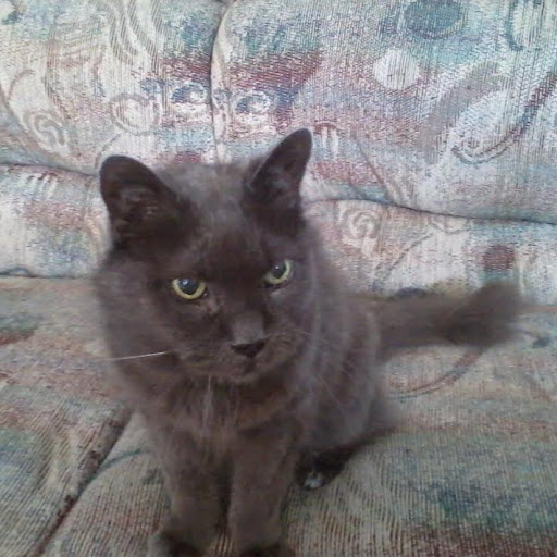 Brenda Breslin Photo 2