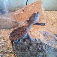 Katie Weber Photo 20