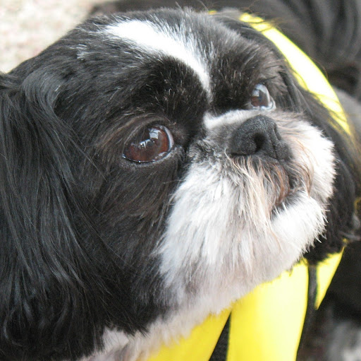 Laura Schulte Photo 44