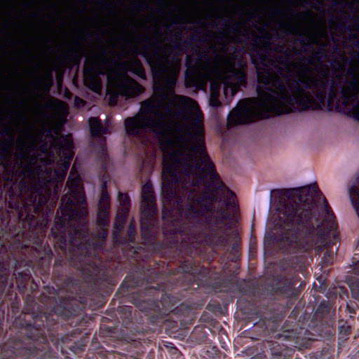 Charles Rhoades Photo 17