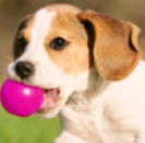 Samuel Price Photo 25