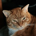 Brian Whicker Photo 12