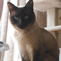 Margaret Healy Photo 28 Margaret Healy Photo 28