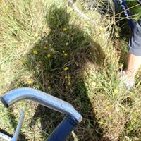 Lyle Wheeler Photo 8