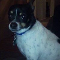 Jack Sinclair Photo 19