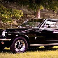 Janet Biddle Photo 6