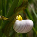 Stephen Halliburton Photo 17