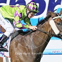 Lisa Enright Photo 27