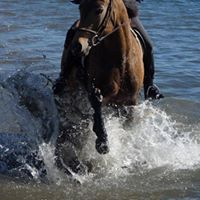 Laurie Sage Photo 19