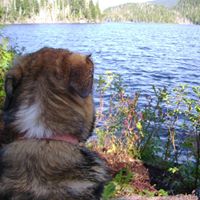 Denise Hoag Photo 13