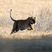 Michael Haley Photo 20