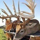 Maynard Johnson Photo 11