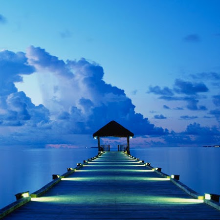 Teresa Spencer Photo 13