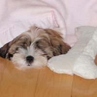 Nancy Leary Photo 12