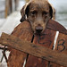 Michael Waterman Photo 23