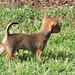 Hazel Vaughn Photo 22