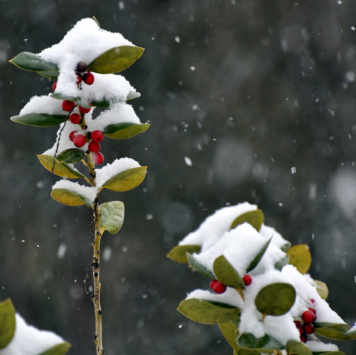 Trevor Brown Photo 23