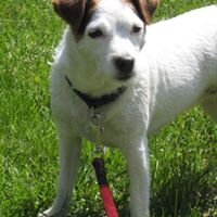 Gayle Armstrong Photo 19