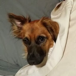 Sara Hanson Photo 18