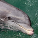 Megan Motes Photo 10