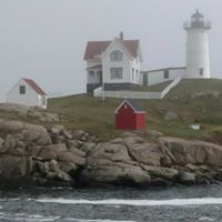 Patricia Heald Photo 10