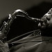 David Murray Photo 11
