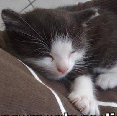 Rick Reagan Photo 18