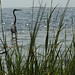 Fred Herron Photo 17