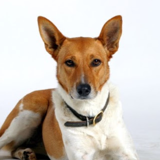 Chris Hinds Photo 24