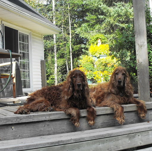 Sara Mackenzie Photo 2