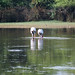 Sara Stocker Photo 15