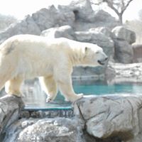 Roberta Bruce Photo 12