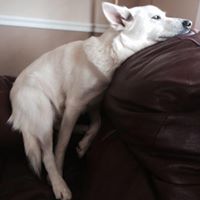 Julia Beckwith Photo 5