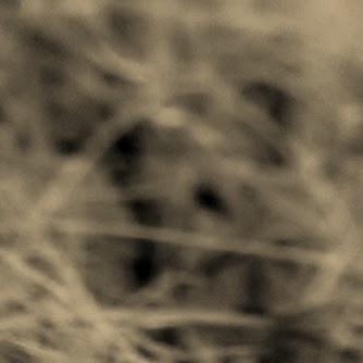 Jacqueline Downing Photo 3